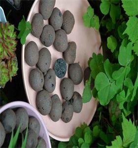 安陸水處理陶粒參考價(jià)格產(chǎn)品質(zhì)量好