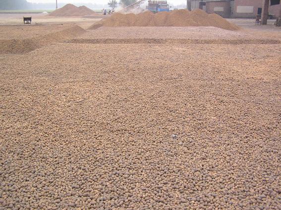 陶粒混凝土_co土木在線