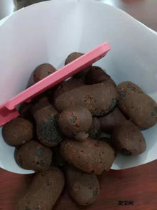 防城港陶粒 工程與家用優(yōu)選，品質(zhì)卓越價(jià)格實(shí)惠