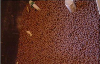 深圳哪家建材廠家工程陶粒報價較低？采購指南與廠家推薦